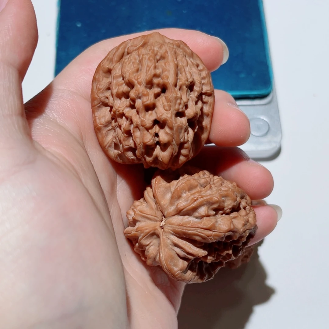 核桃核桃核桃核桃