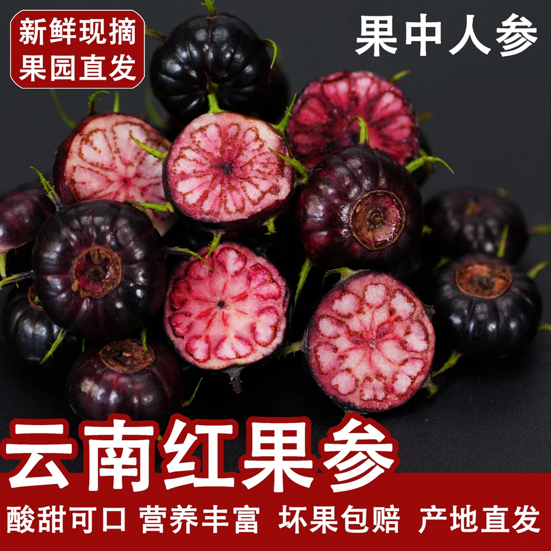 云南高山红果参稀有果实蜘蛛果文山马关新鲜采摘果园发货