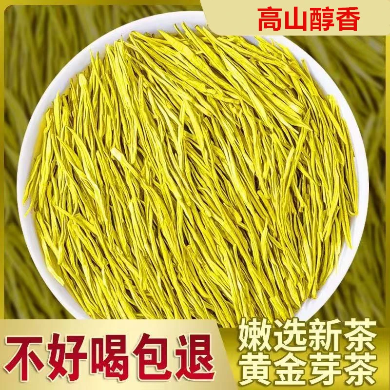 黄金芽2025新茶春茶原产地雨前豆香兰花香高山绿茶叶