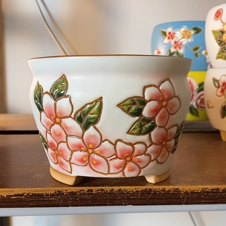 韩式多肉植物花盆