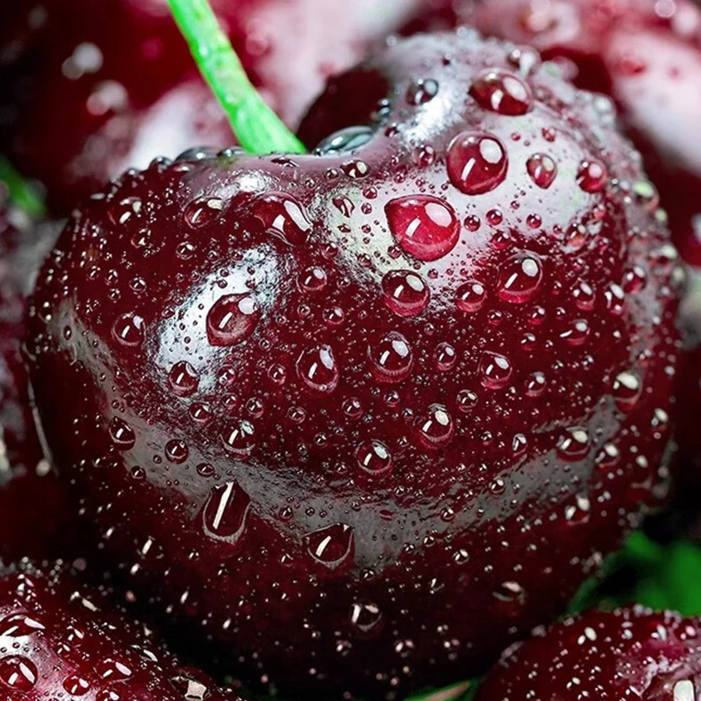 【5J现货】智利海运车厘子车厘子5J新鲜水果5斤礼盒装2 内附果径卡