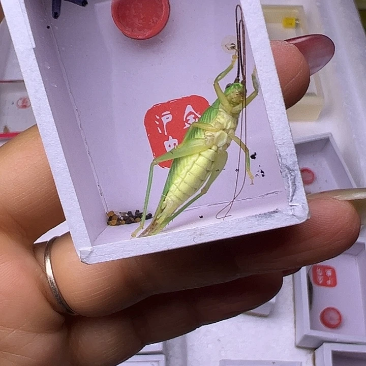 海***跃哈哈哈哈哈哈哈哈哈哈哈哈哈