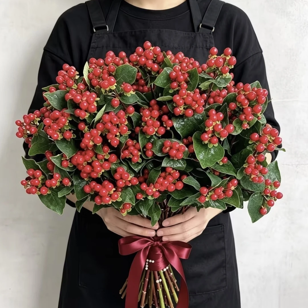 王维诗里的【相思豆】云南鲜切花火龙珠水养鲜切花插花室内装饰观赏