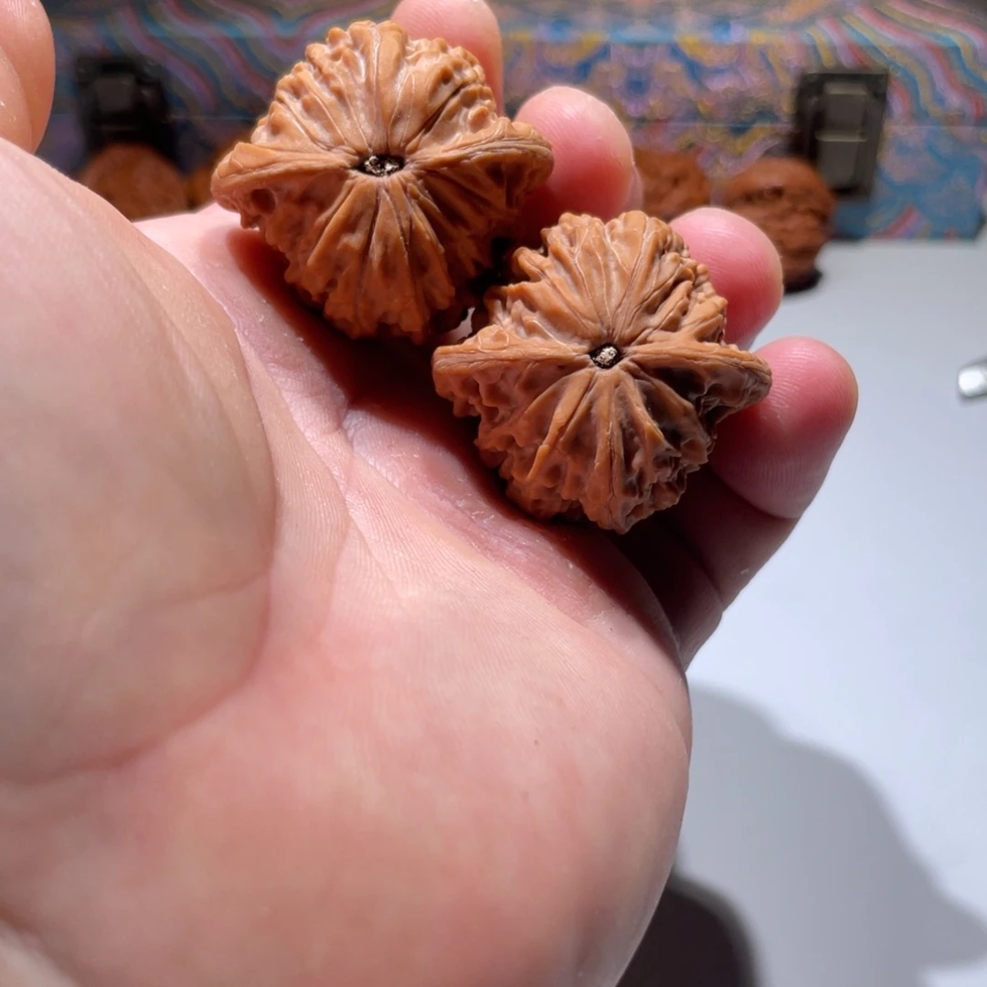 文玩核桃把件德*38全品正磨