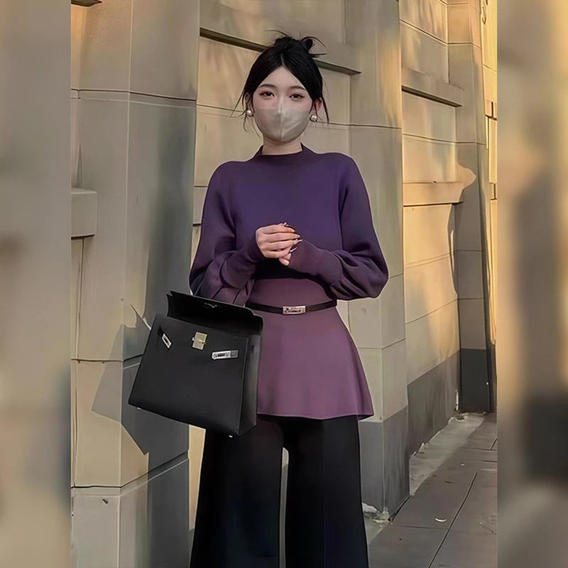 2025秋季新款韩版显瘦半高领针织衫女设计感小众收腰显瘦上衣