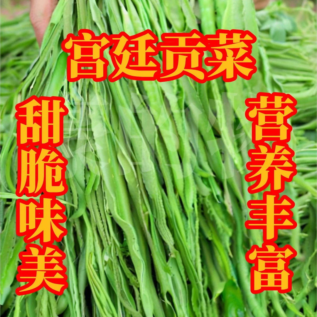全店满5元包邮[16]宫廷贡菜种子