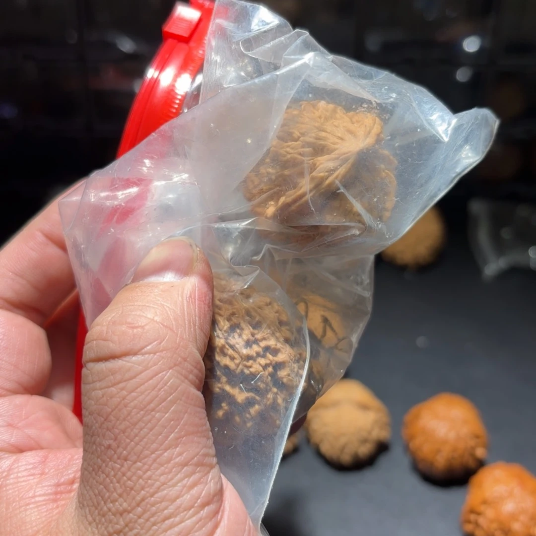 村*福袋福利不退不换