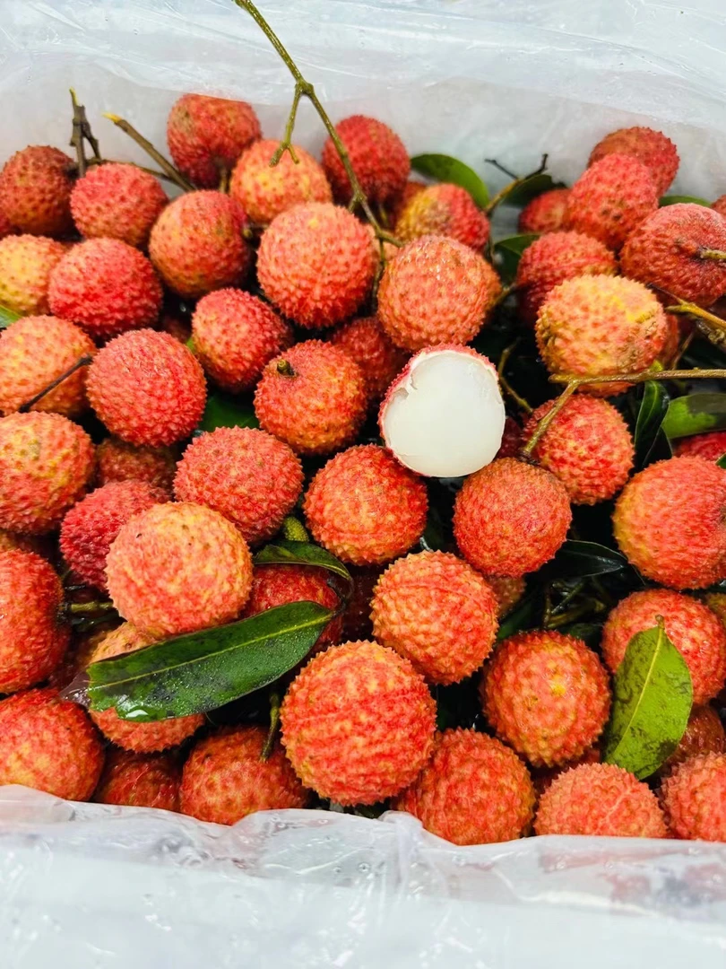 大宝桂味荔枝2.5斤净