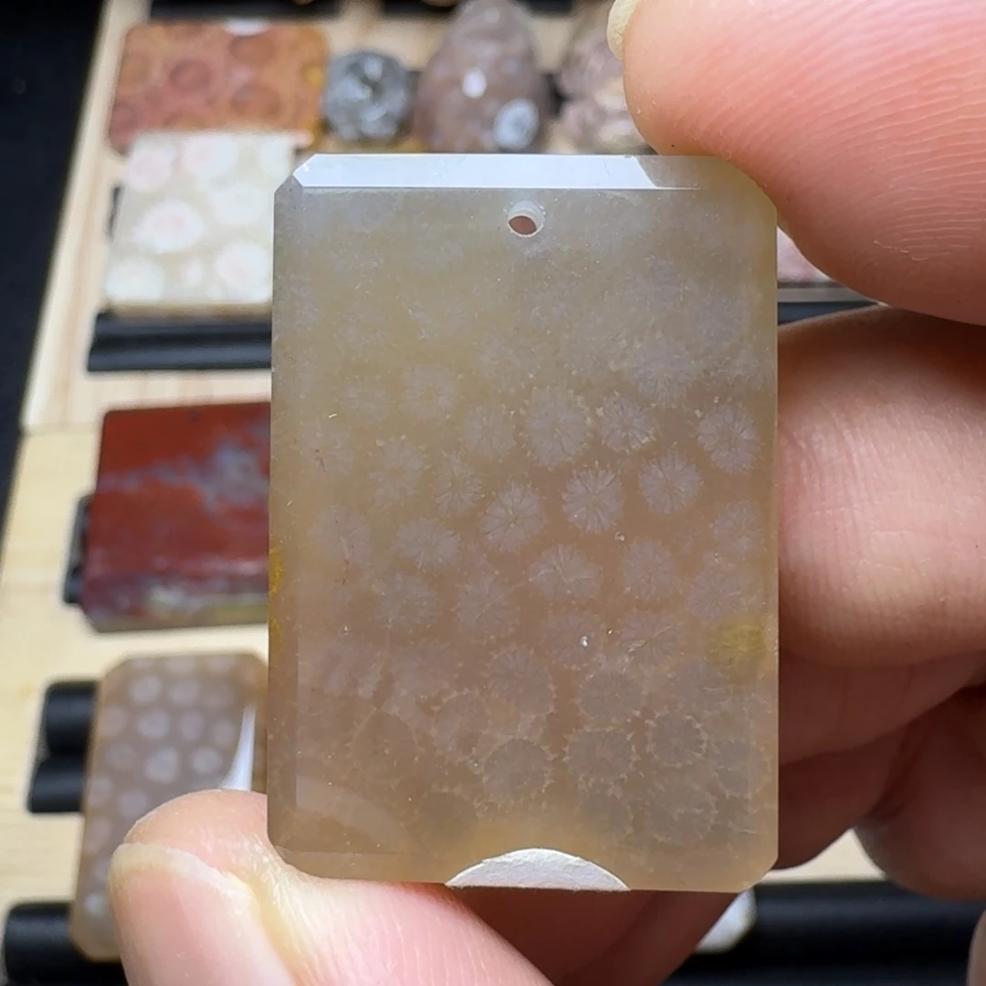 硅化珊瑚（珊瑚玉）未镶嵌纯天然色有机玉石保真色