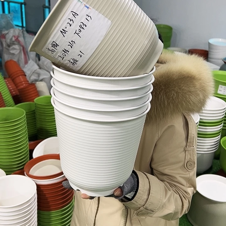 正品高陶口21高21白无托6只