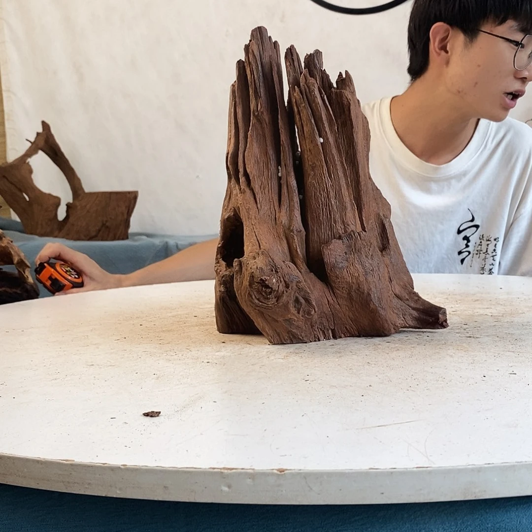 沉木造景沉木造景