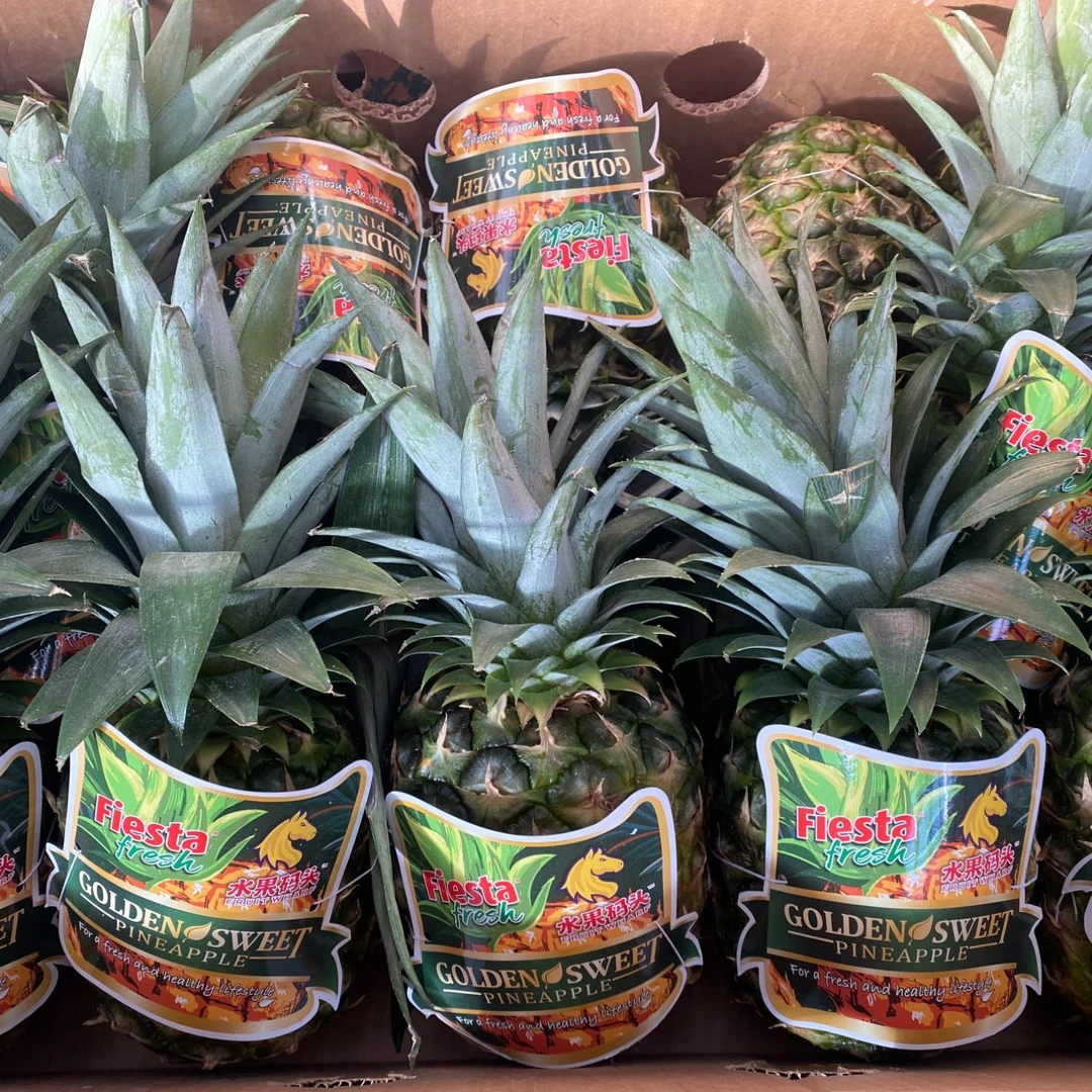 水果码头金钻菠萝3个装