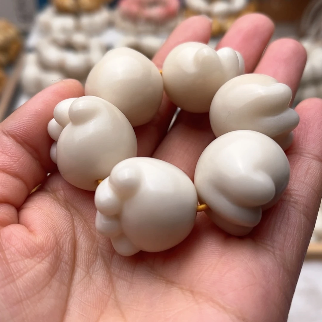 菩提根/象牙果吊坠23 24 尺寸猫爪