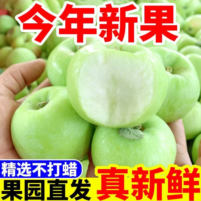 2025头茬山西青苹果新鲜水果现摘酸甜小绿萍果孕妇水果酸脆爽口