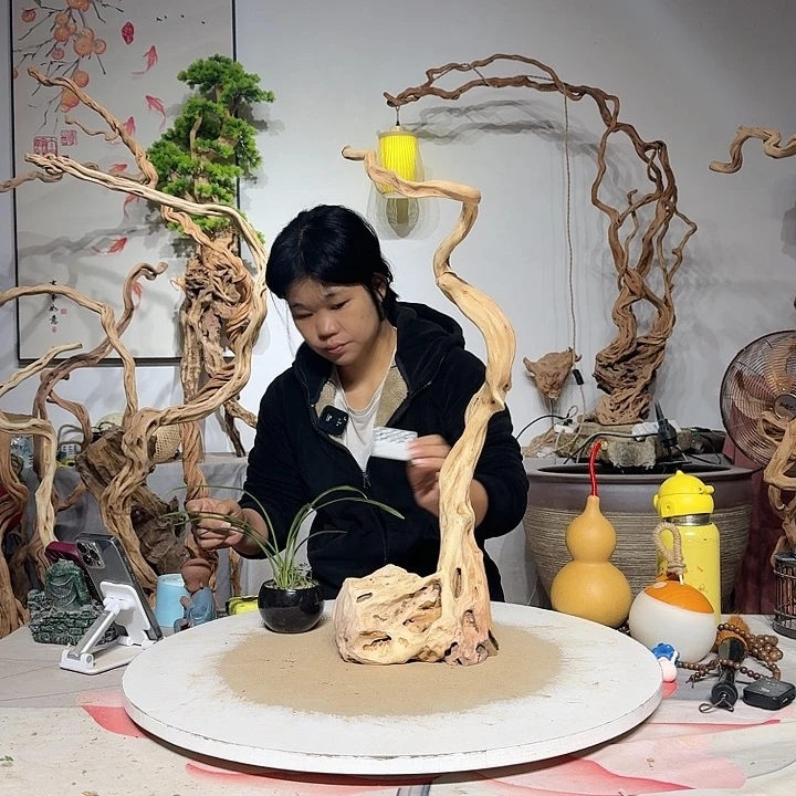 滨***t杜鹃根艺术中心根