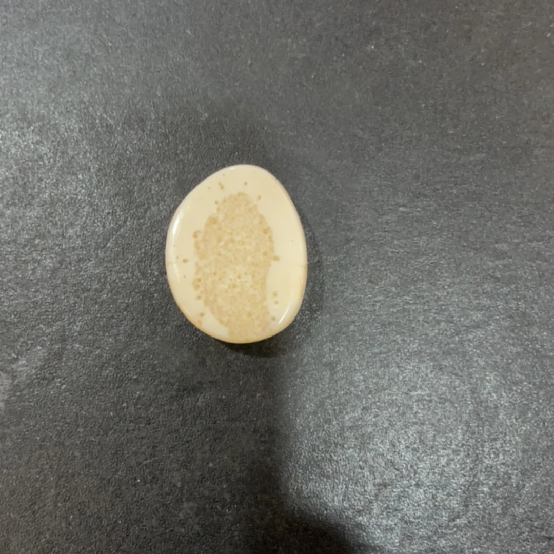 猛犸虬约18.5克饼子配饰TD400