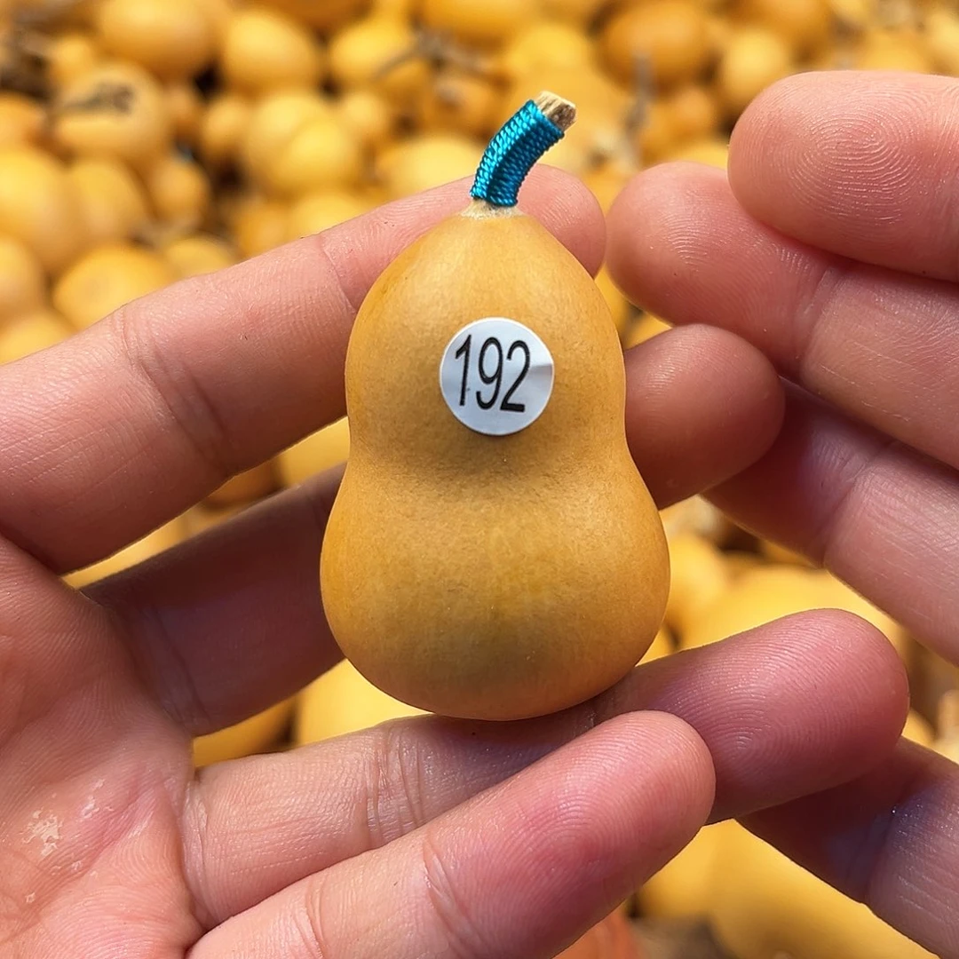 二葫芦葫芦葫芦葫芦192