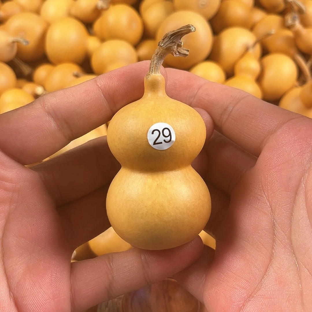 一葫芦葫芦葫芦葫芦葫芦葫芦29