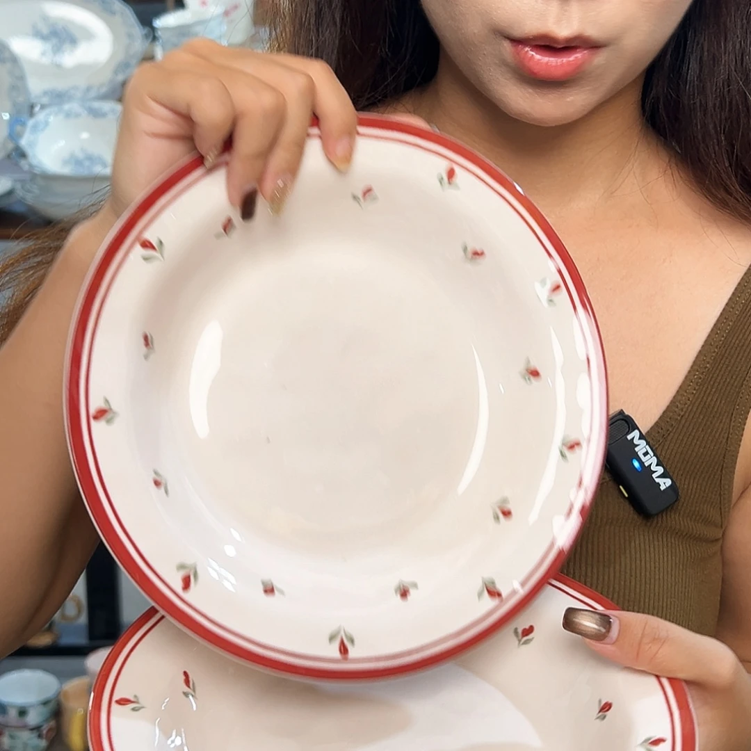 潮州微瑕陶瓷餐具8寸