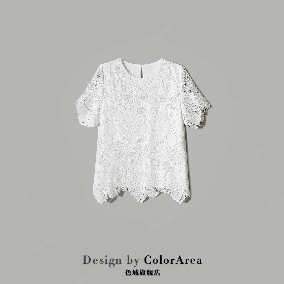 ColorArea/色域~清仓~设计感短袖圆领减龄百搭钩花镂空刺绣上衣