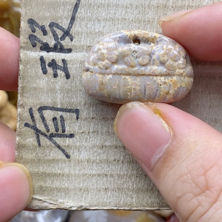颈饰未镶嵌硅化珊瑚（珊瑚玉）繁*小