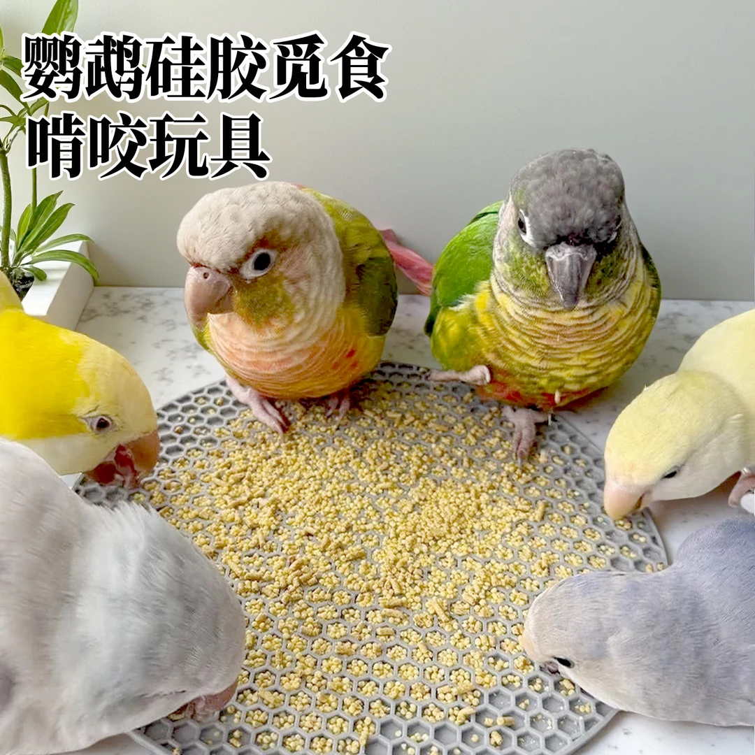 鹦鹉解闷啃咬玩具磨牙解压鸟玩具玄凤小太阳觅食垫硅胶盘鸟笼装饰