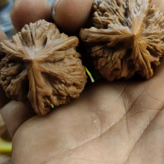 把件文玩核桃玉龙粗筋三棱核桃