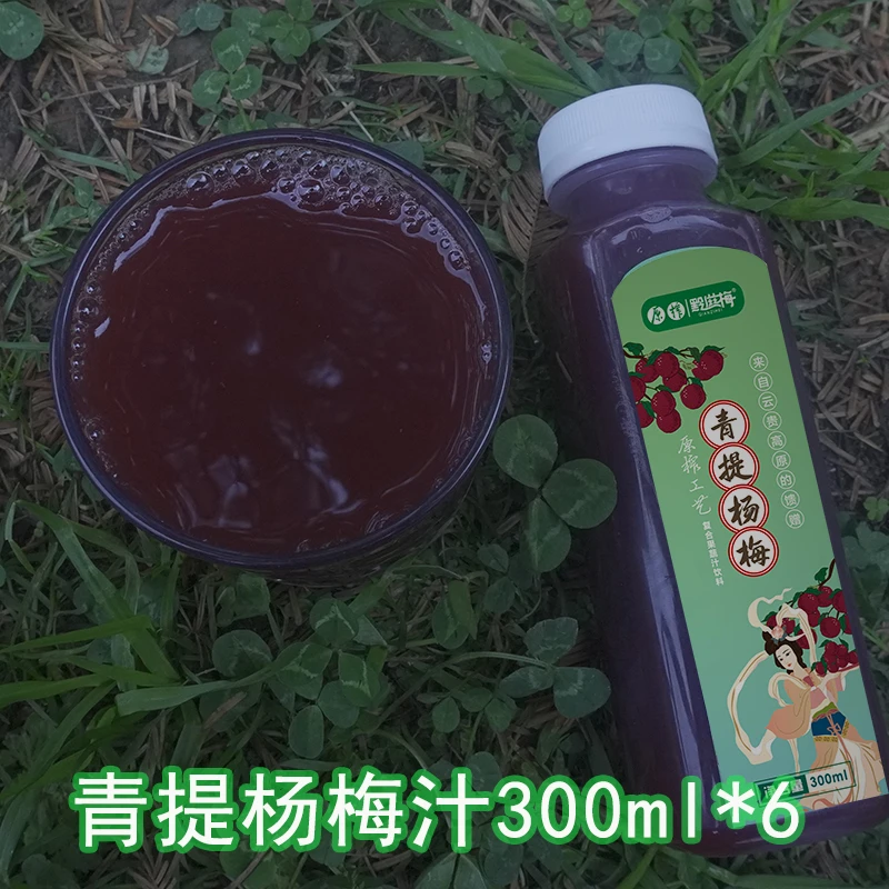青提杨梅汁贵州果蔬汁饮料方圆瓶装300ml冰镇酸梅汤非勾兑饮料