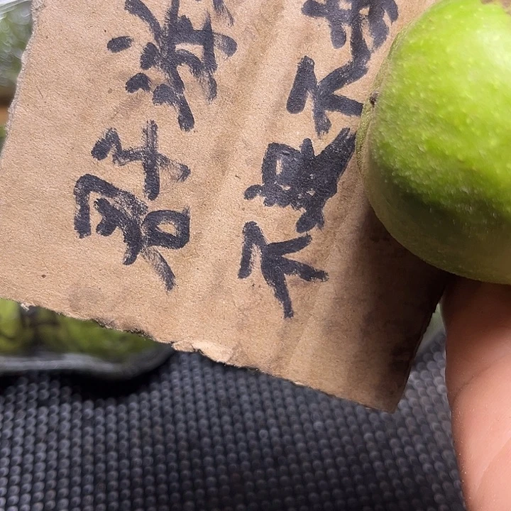 李***国核桃手串/手链配上