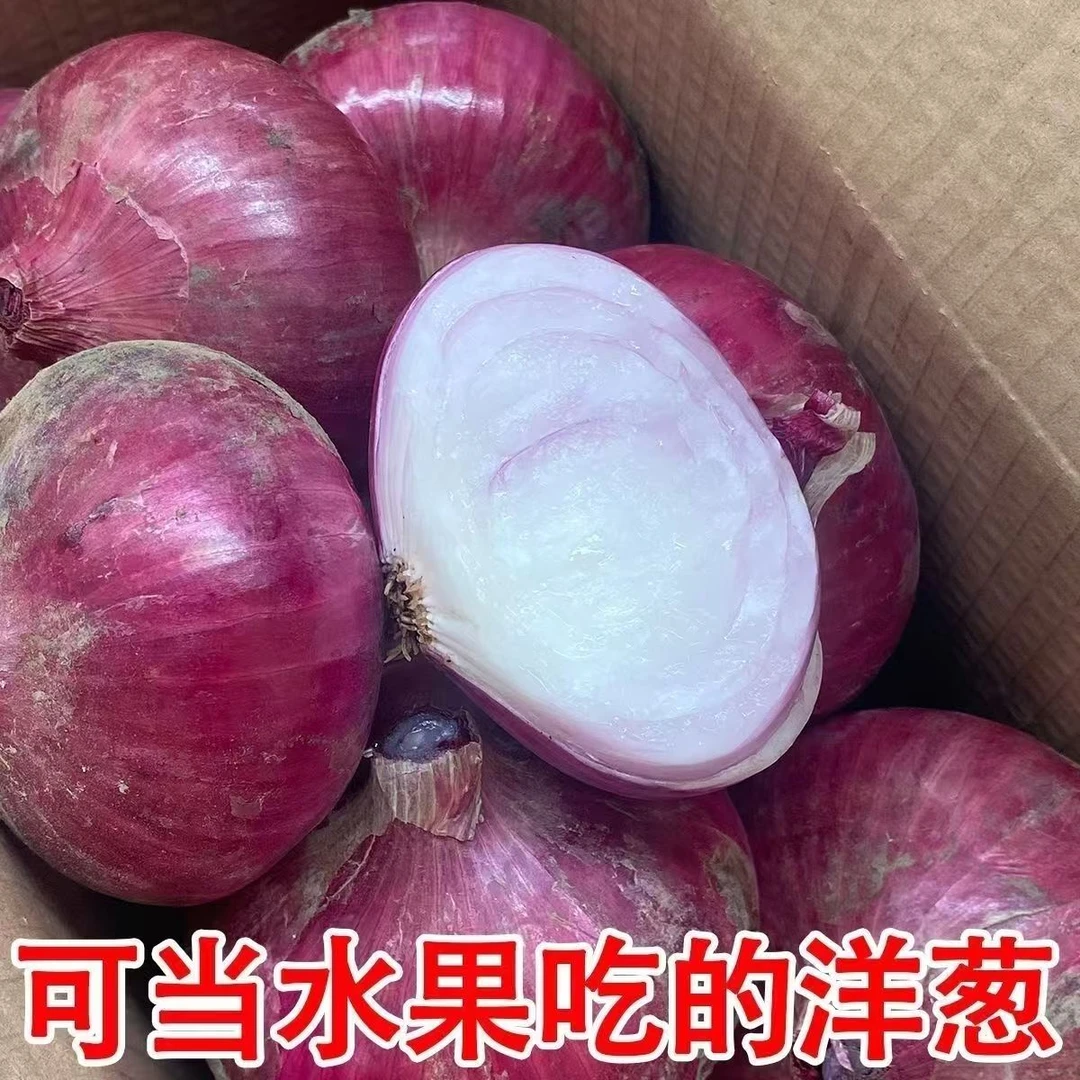 【助农优选】应季新鲜现挖云南楚雄带泥紫红皮水果洋葱脆甜可生吃