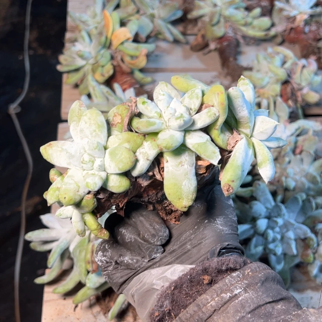 7630哈哈哈哈哈哈哈