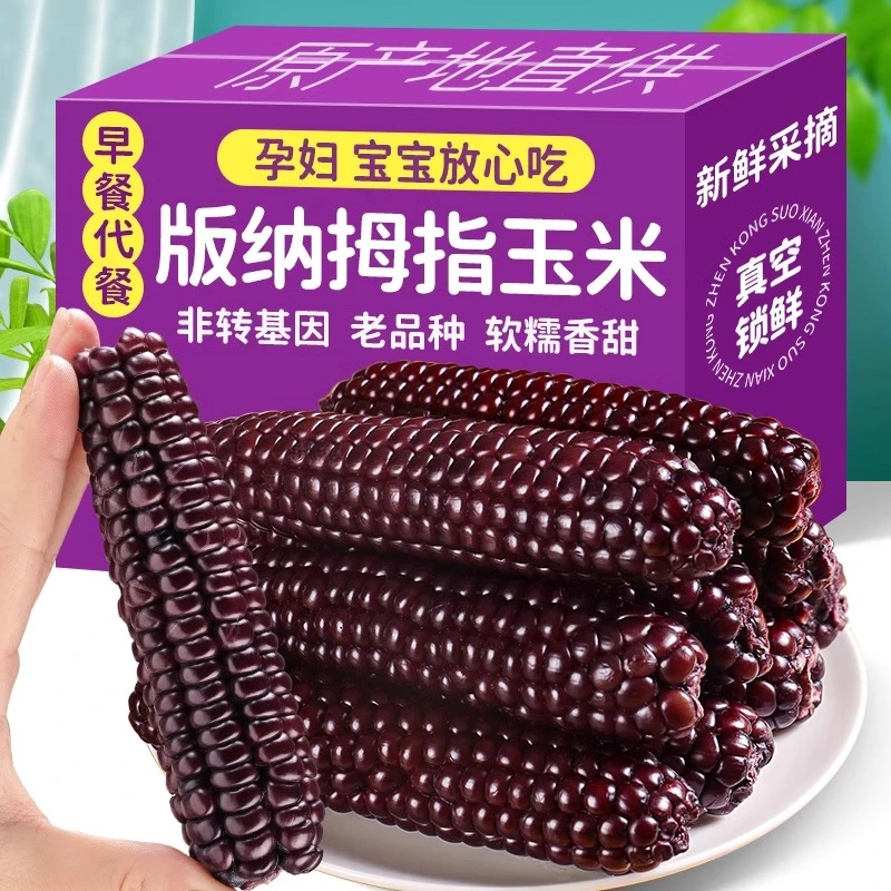 西双版纳紫糯黑拇指小玉米云南特产宝宝早餐小手指儿童拇指玉米