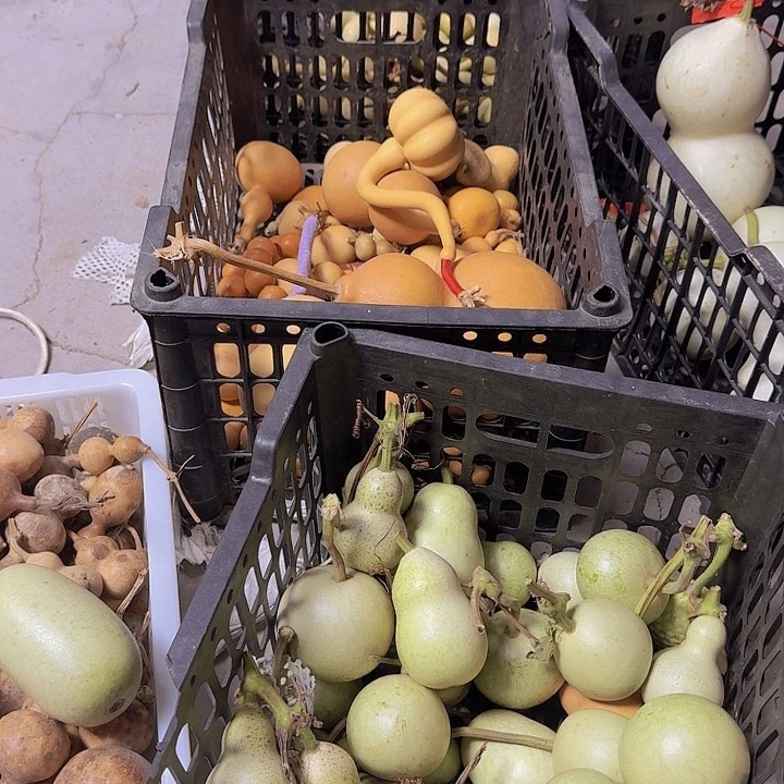 沃***帅大姑精彩发挥看看吧v吃广军