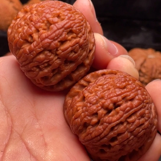 文玩核桃把件秦岭山脉核桃