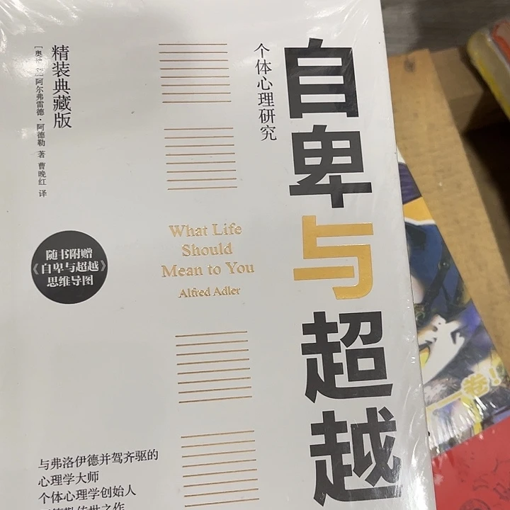 自卑与超越九米一个