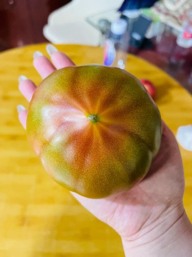 欢坨一线西红柿400