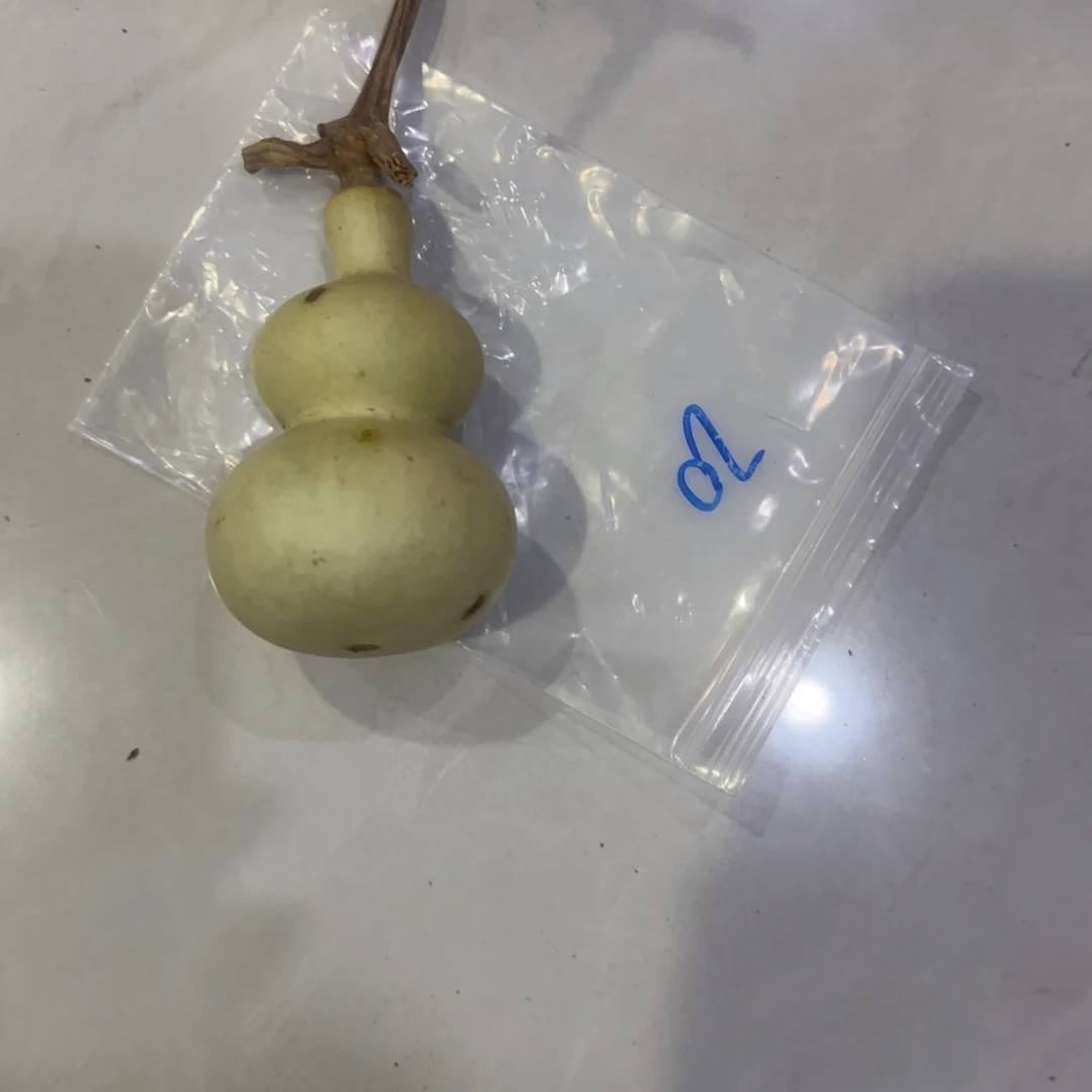 随***意这种东西就是这种有个朋友