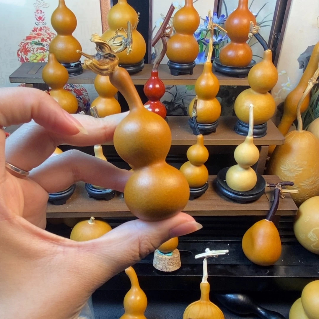 爱***菜葫芦葫芦哈哈哈哈哈哈