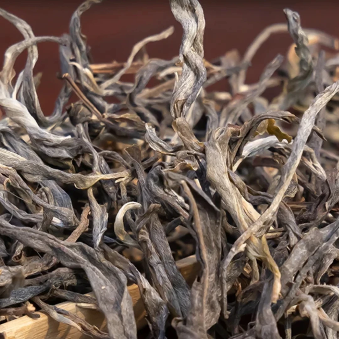 班盆老寨古树【2025年春茶手工古树】口感醇厚 香气高远 50克