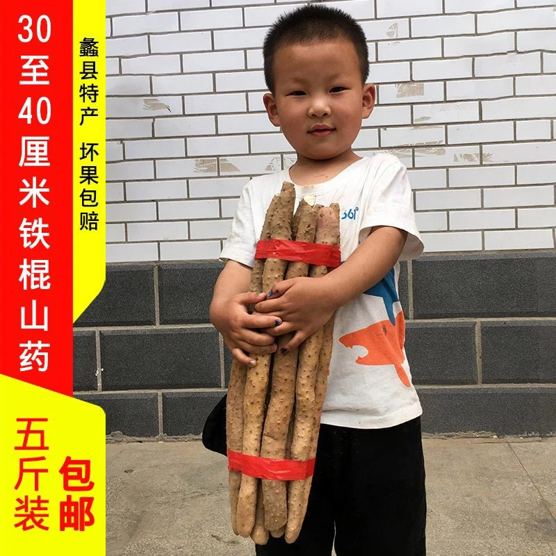 蠡县铁棍山药5斤装30-40厘米农家自产自销新鲜软糯好吃