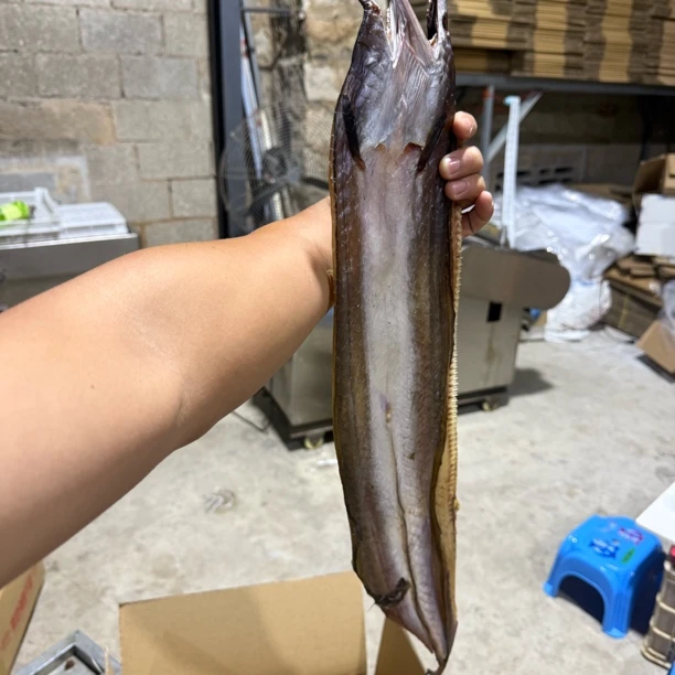 渔民自晒咸香大号鳗鱼干崇武发货 6 - 7 成干