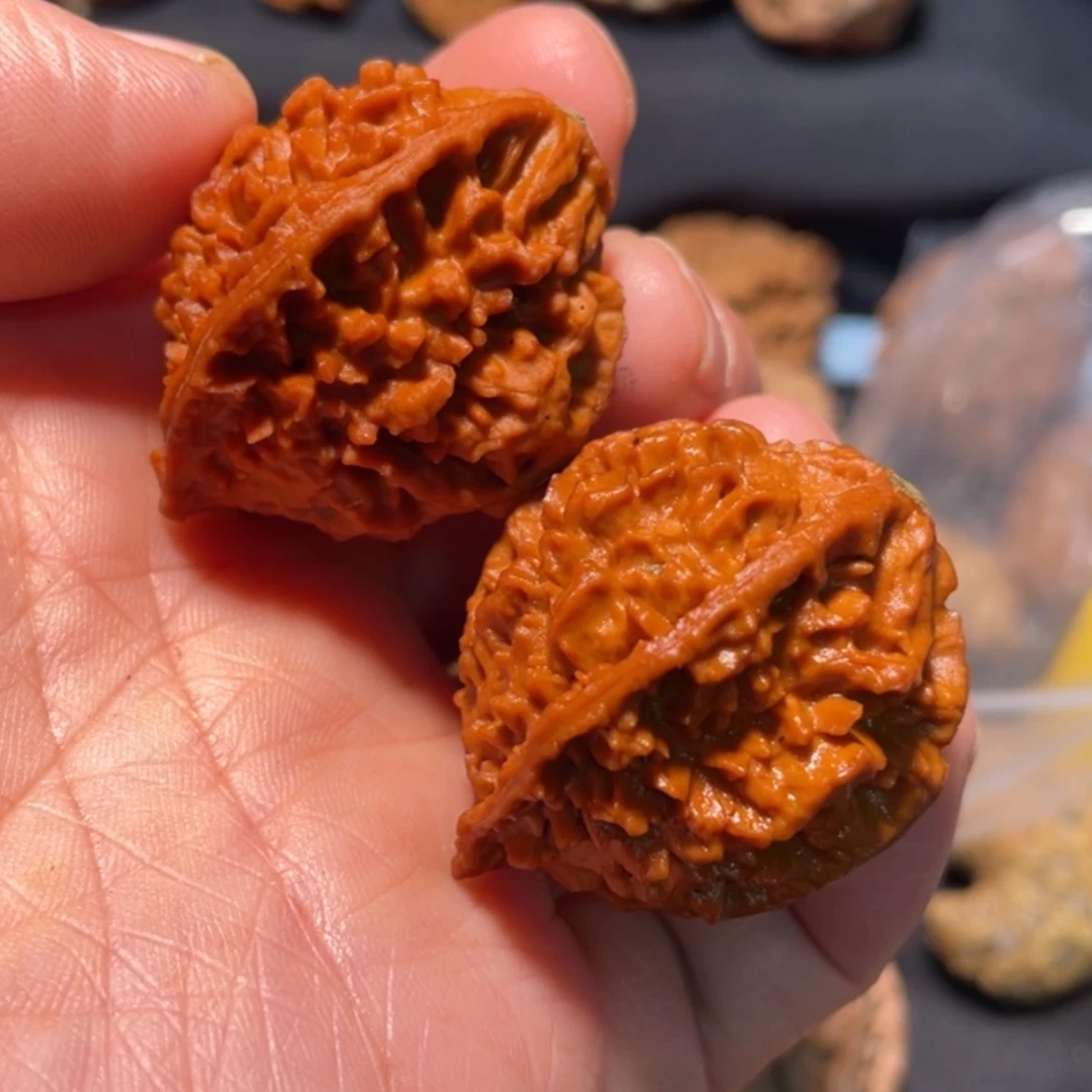 【闪购商品】文玩核桃把件M****李东北楸子9