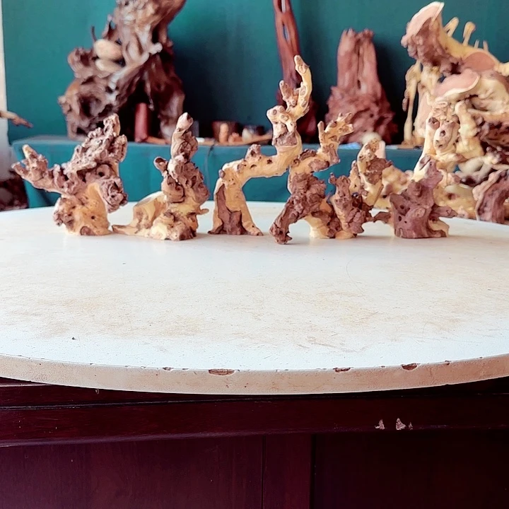 黑果木一****室210金丝红木羊蹄甲半成品到手5件