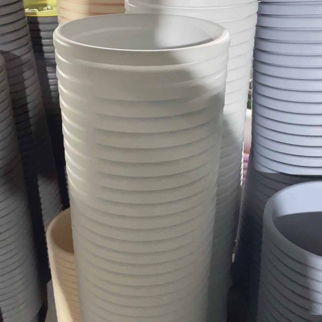 四季6号3个白色的