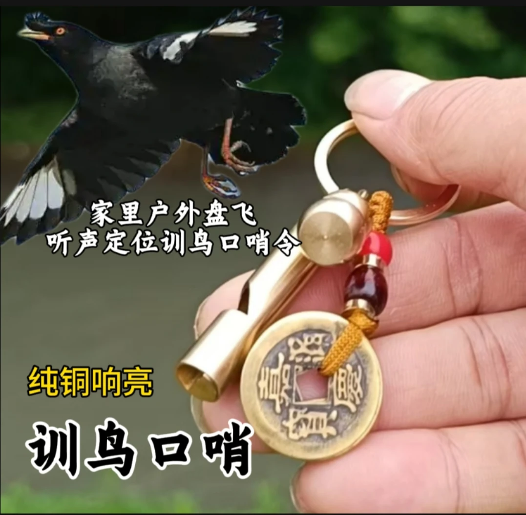 训鸟口哨家里户外盘飞鸟用听声辨位鸟用训鸟口哨令