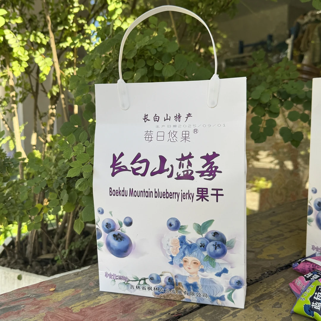 MS100  蓝莓果干