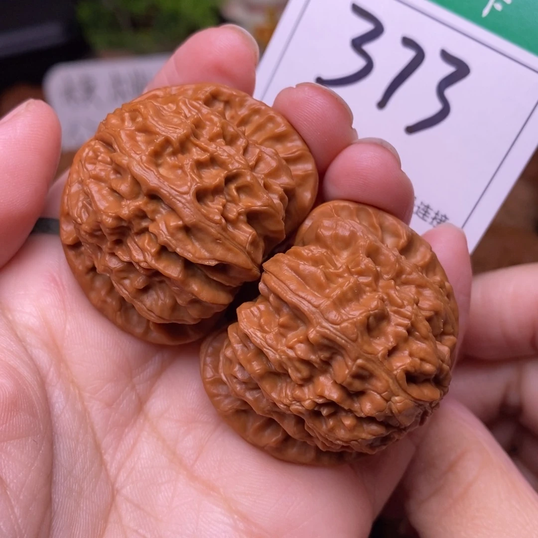 把件文玩核桃373白狮子4.1