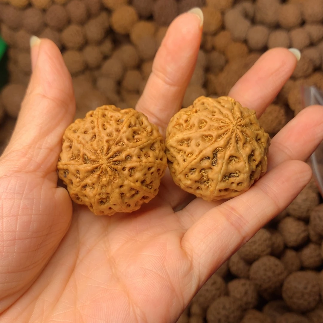 木10瓣手球卡35尺寸，19号