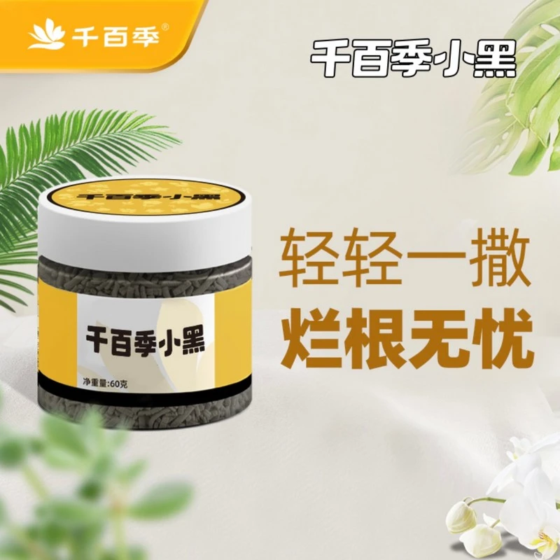 【直播】千百季小黑花卉月季多肉枯萎土壤肥料