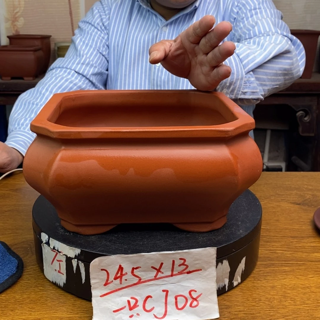 红陶货号一只CJ08